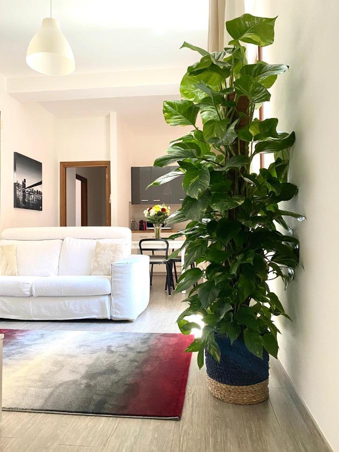 Delonix Regia Olbia Appartement Buitenkant foto